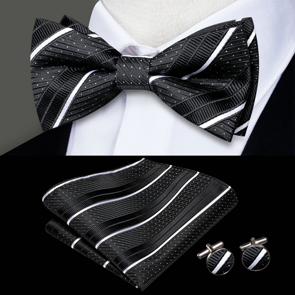 Herren-Fliege, Einstecktuch, M – Bow Tie Pre Tied Bewertung und Preis